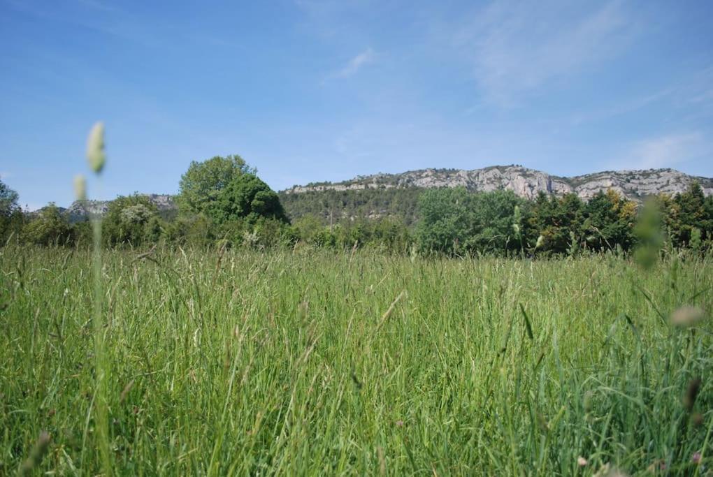 Le Cabanon Tendance Du Luberon Mérindol Esterno foto